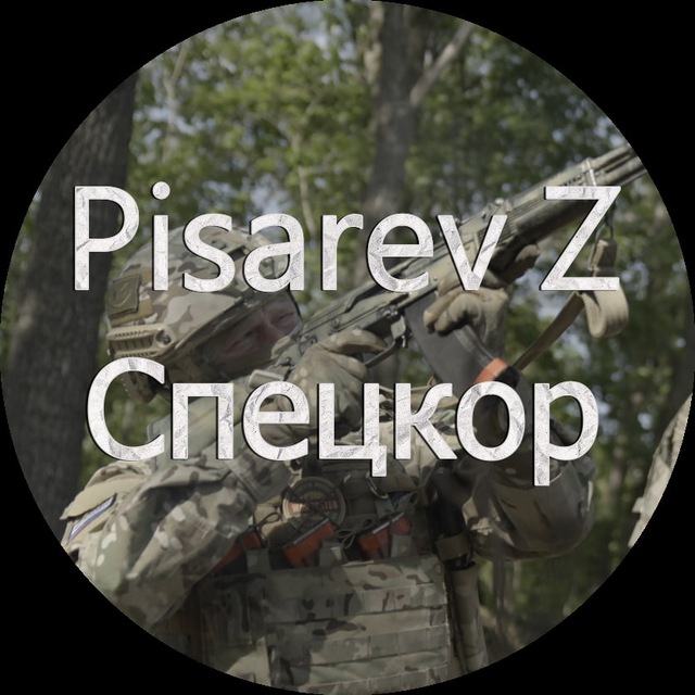 Pisarev Z