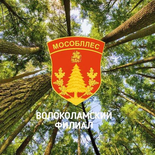 Волоколамское лесничество