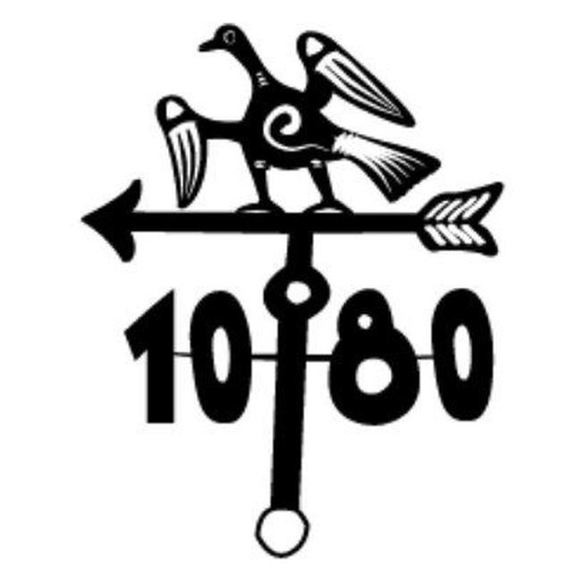 Флюгер. 1080-й дневник