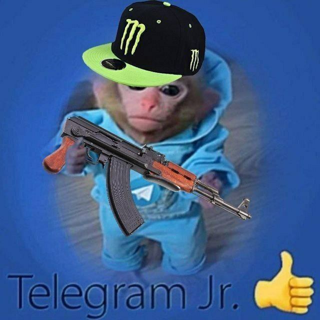 Grupos Telegram Memes E Humor - Grupos Telegram