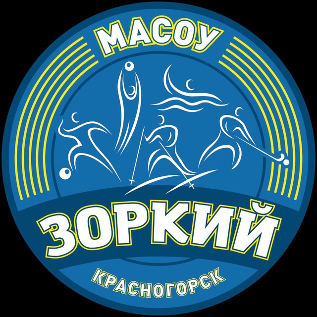 МАСОУ "Зоркий"