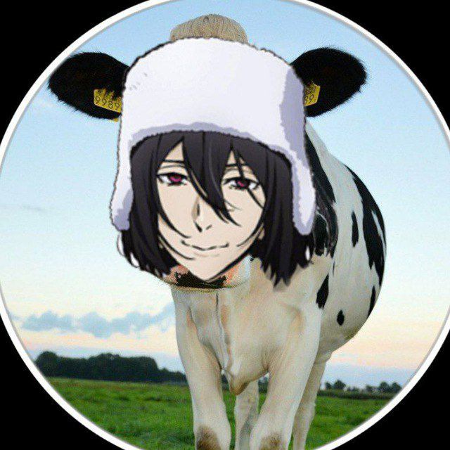 ?Молоко Федора ?