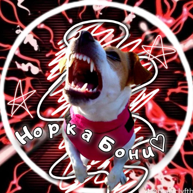 (☃️Норка Бони❄️)