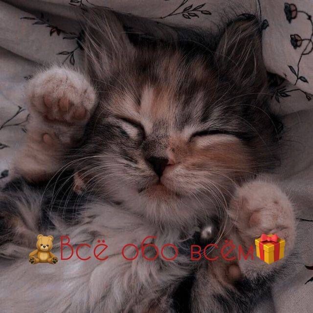 ?Вⷡсⷭё оⷪбⷠоⷪ вⷡсⷭёмⷨ ?