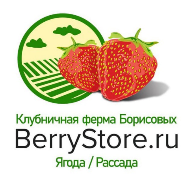 Клубничная ферма Борисовых "berrystore.ru"