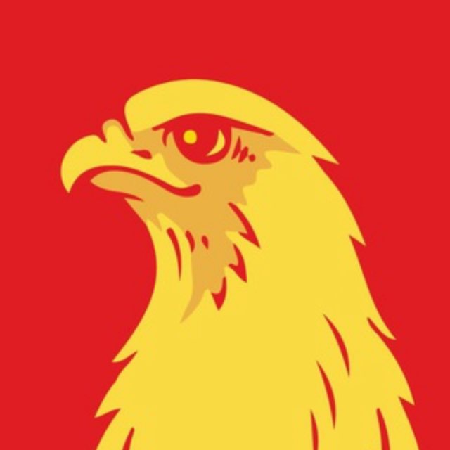 Сокол - Жизнь в САО!