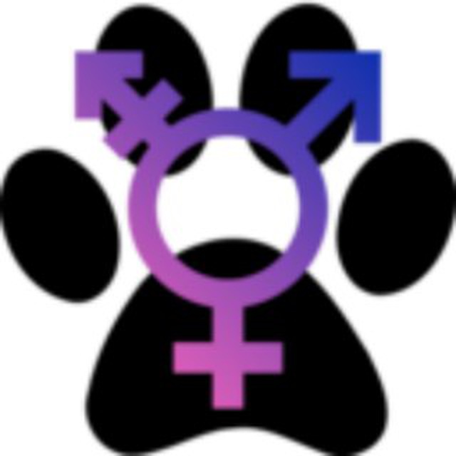 Furry Intersex