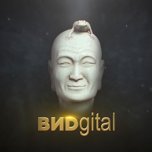 ВИDgital/Телекомпания ВИD