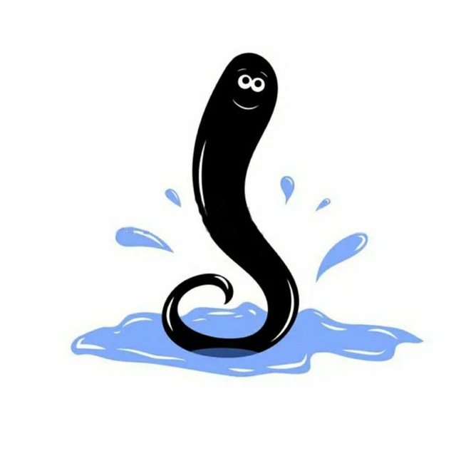 Гирудо+комплексное оздоровление Пиявки Йошкар-Ола