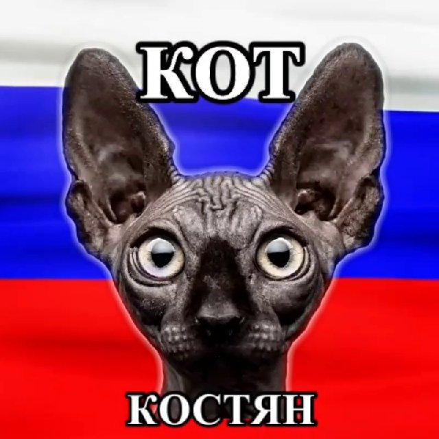 Кот Костян - официальный канал??