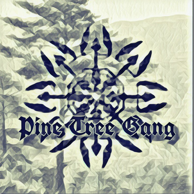 Pine Tree Gang — @pinetreegang Telegram-kanali — TGStat