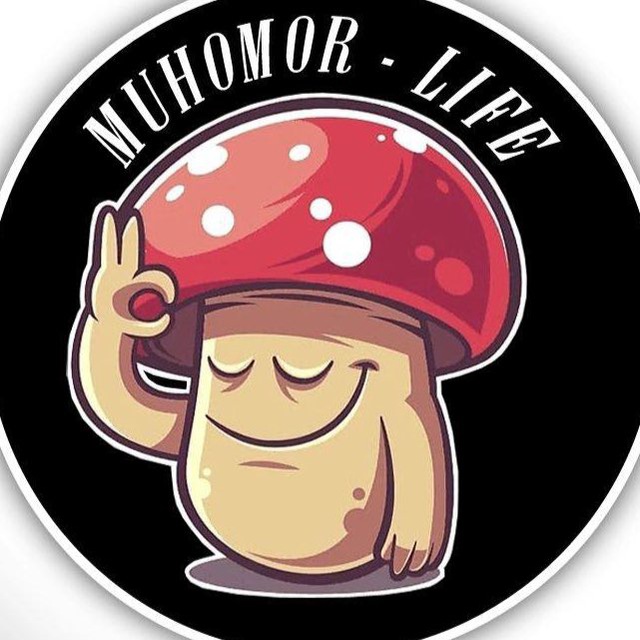 Новости Крыма ❗️ОФИЦИАЛЬНЫЙ ЧП