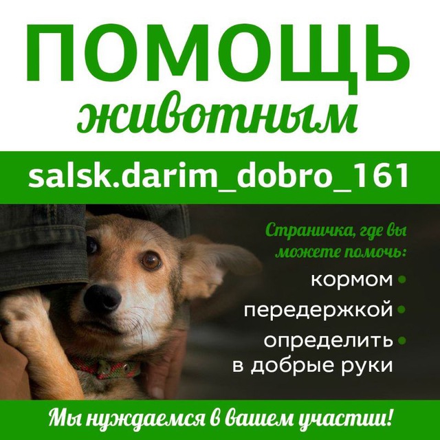 salskdarim_dobro_161