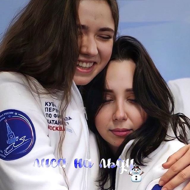 лиса на льду?