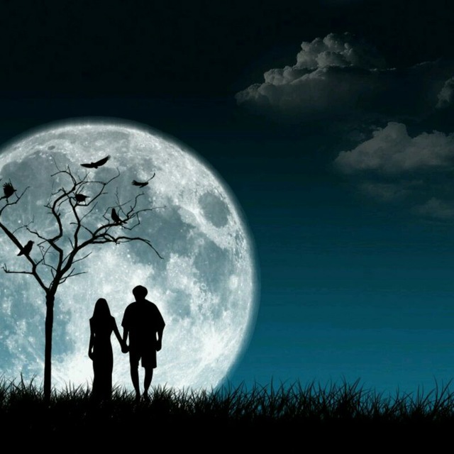 Qorqinchli anusning fotosurati