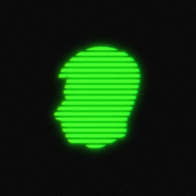Nidgus