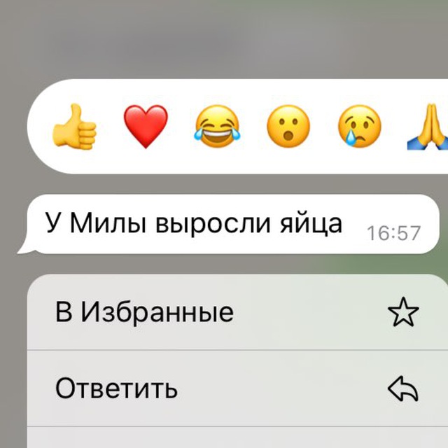 егор по ба?ам