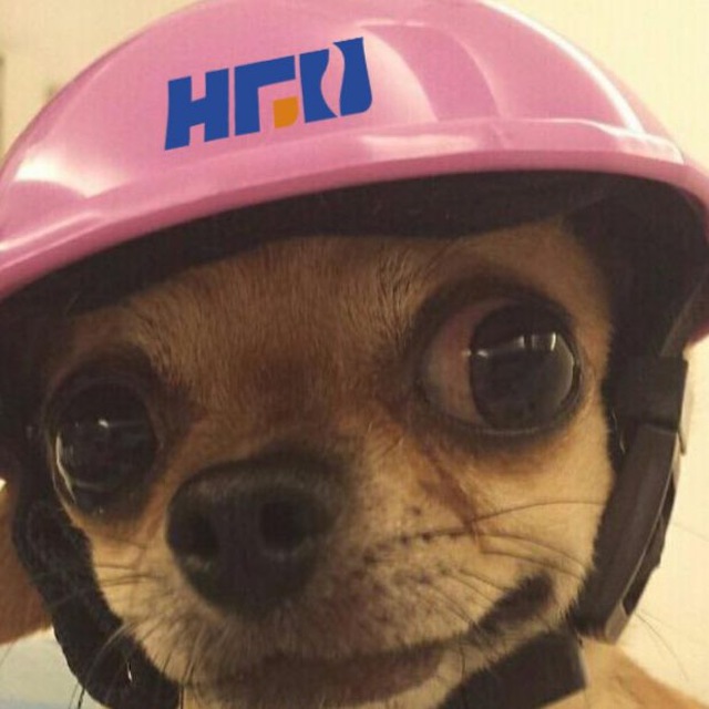 ЦЕХ