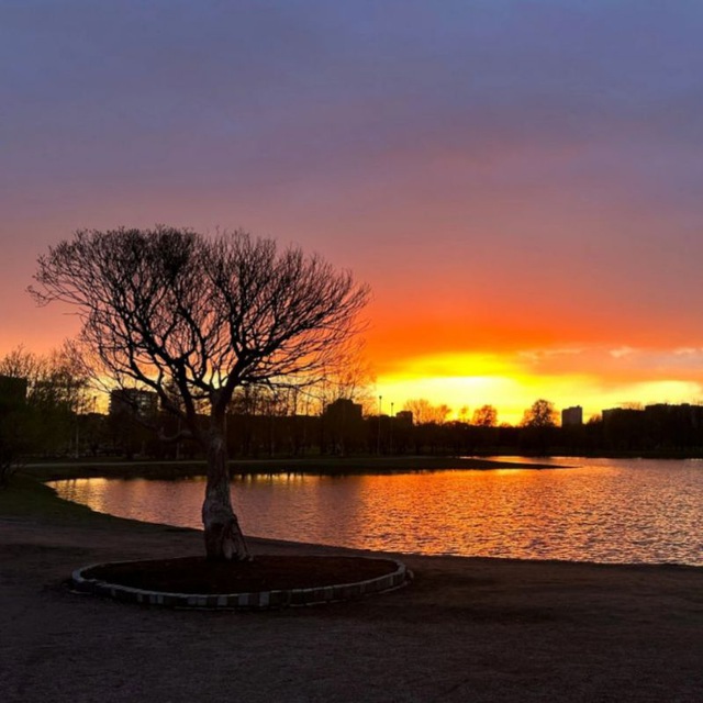ПОЛЮСТРОВО И СОСЕДИ. Новости и общение