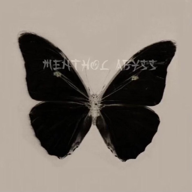 ??????? ????? ɴᴇᴡꜱ