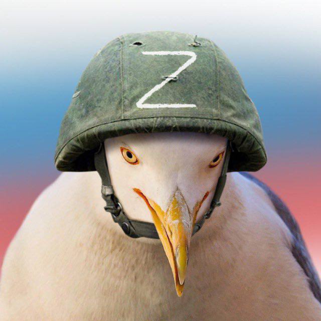 Р И А 8 Z
