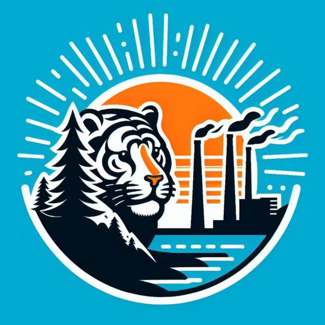 Мой Лучегорск