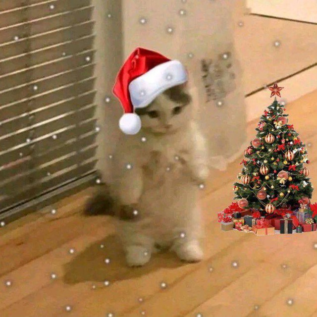 •|°Элитные Челики°•|