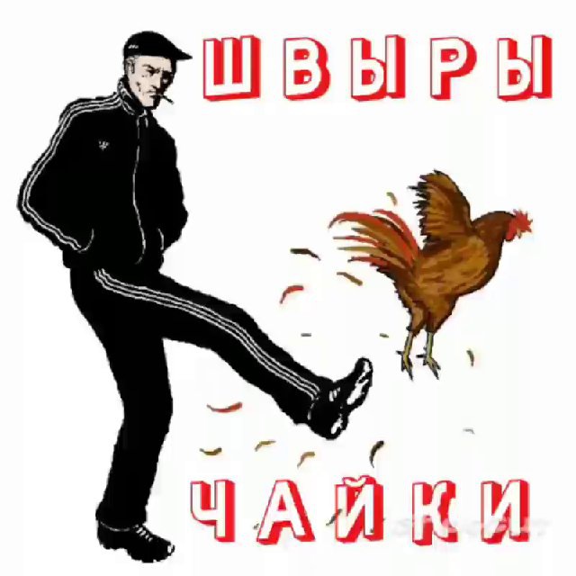 ШВЫРЫ И ЧАЙКИ