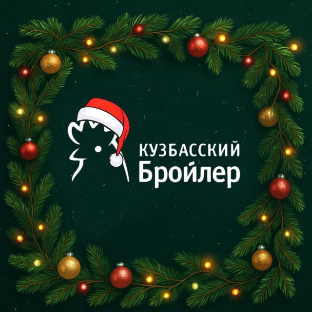 Кузбасский бройлер