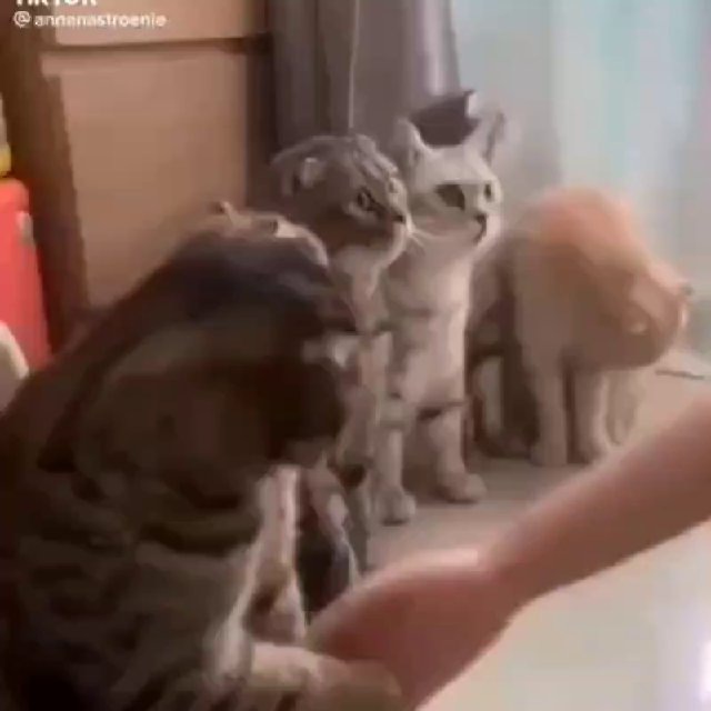 Ленины байки (видео)