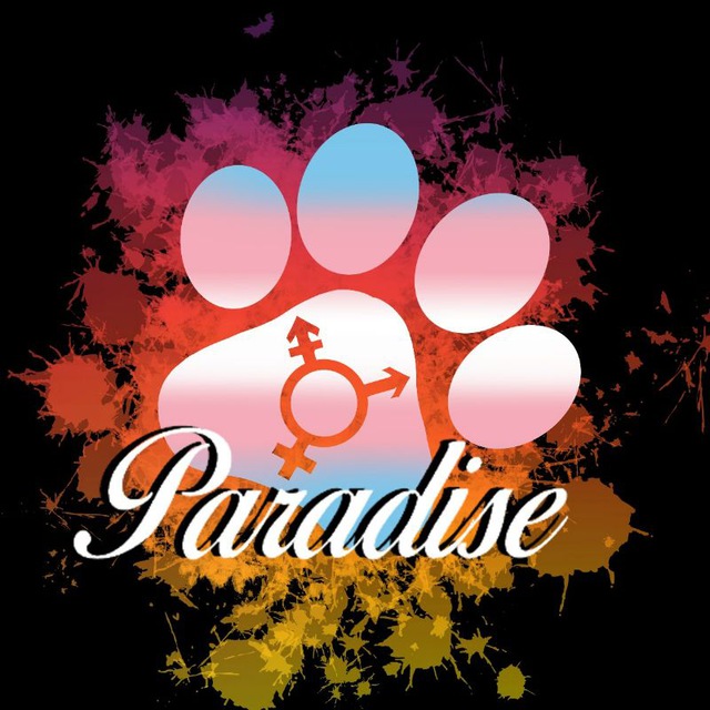??Andromorph Paradise channel