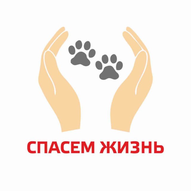 СПАСЕМ ЖИЗНЬ | Волонтерское движение в защиту животных