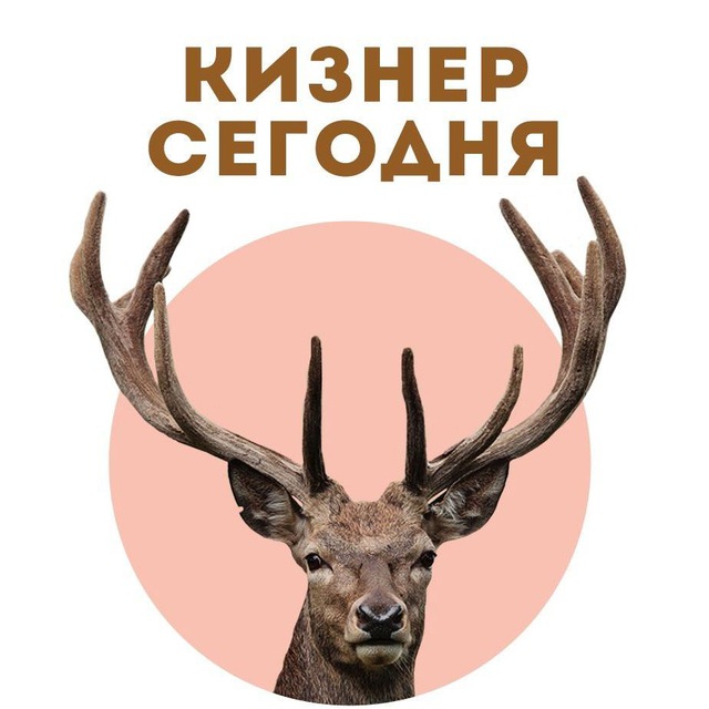 Кизнер сегодня