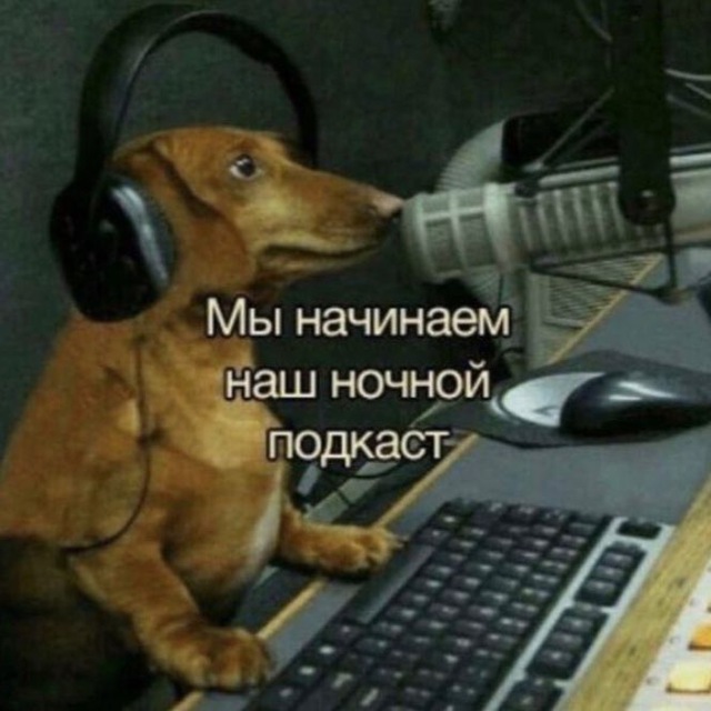 Movsiiik