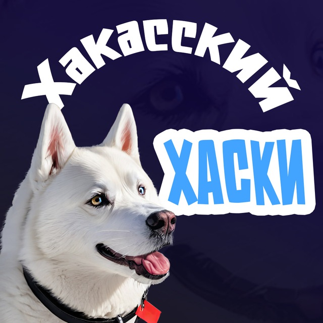 Хакасский хаски