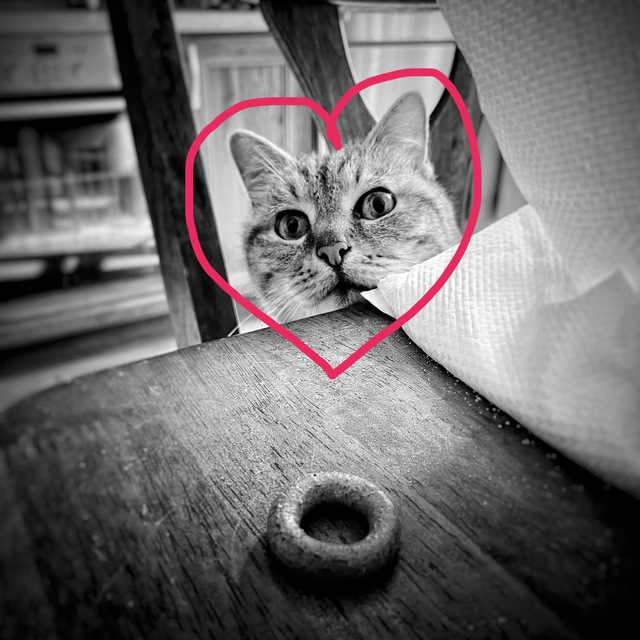 ?Темоша и его лапке??