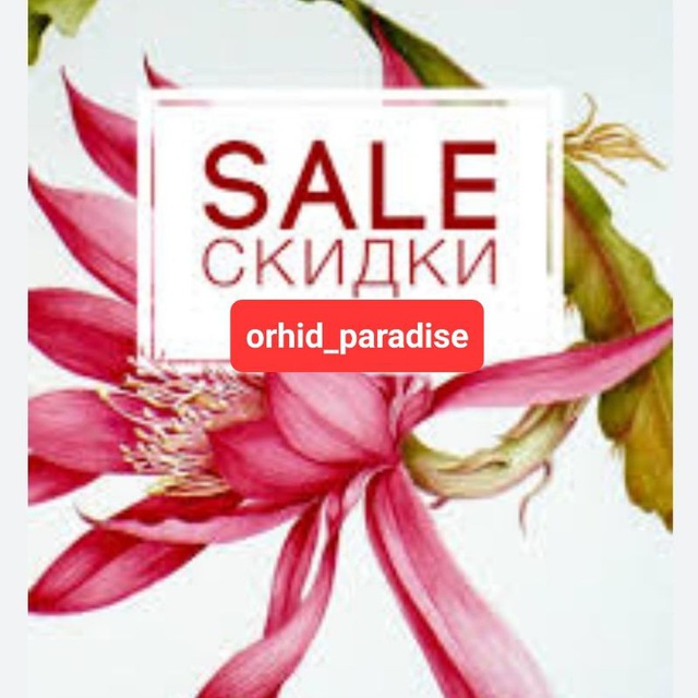 ???ОРХИДЕИ С УЦЕНКОЙ?Orhid_paradise