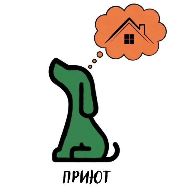 Собаки приюта ТиНАО в Малинках