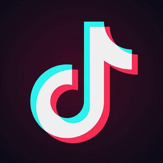 TikTok Downloader