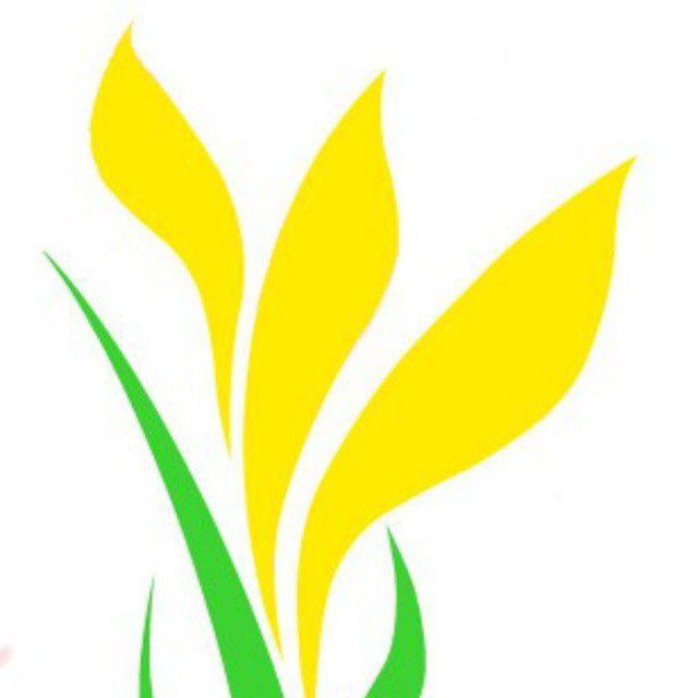 Интернет-газета Степные вести | Новости