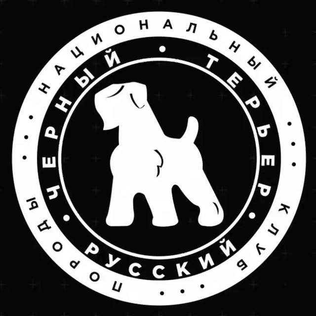 ЧЁРНАЯ МОЛНИЯ ⚡️