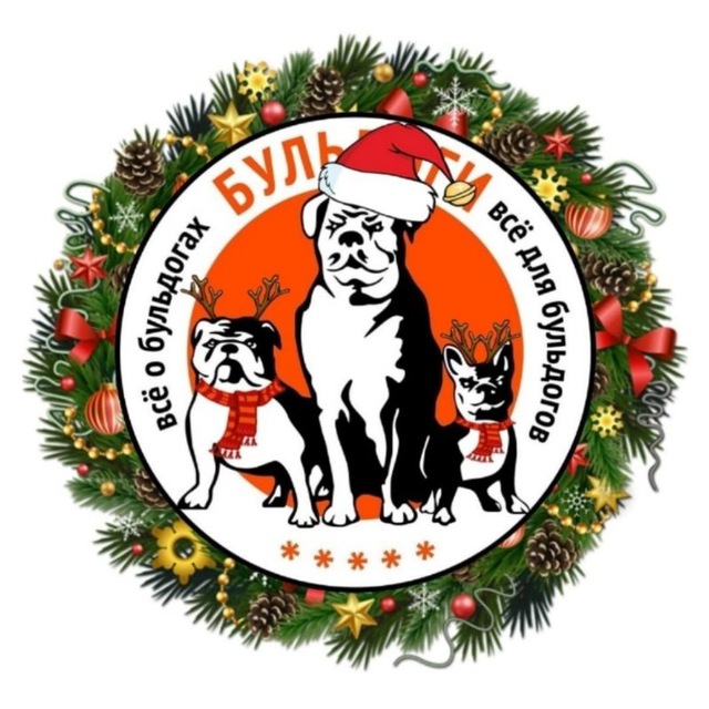 @БУЛЬДОГИ@ группа помощи