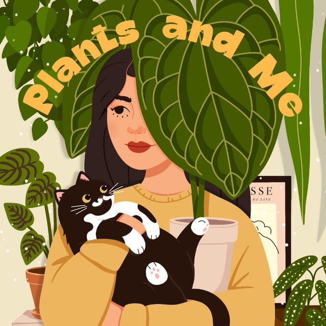 Plants_and.me