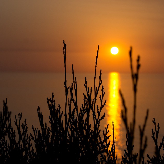 ЖИТЬ У МОРЯ ?