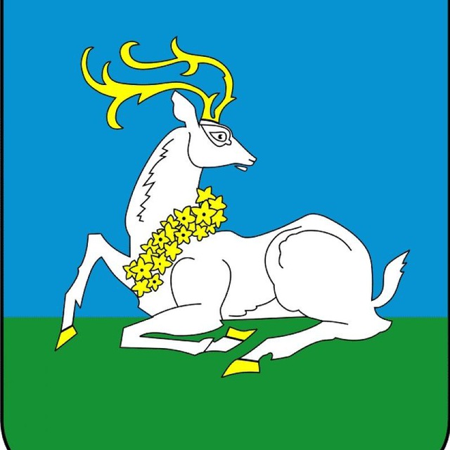 МЦУР Одинцовского г.о.