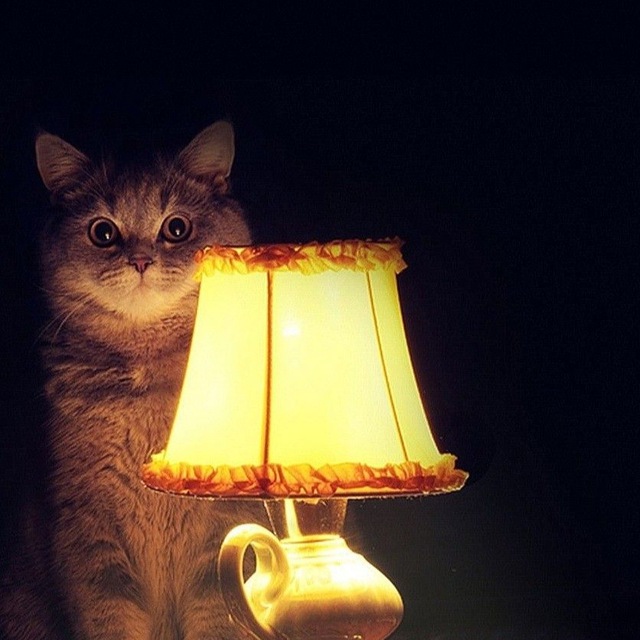 Так будет так