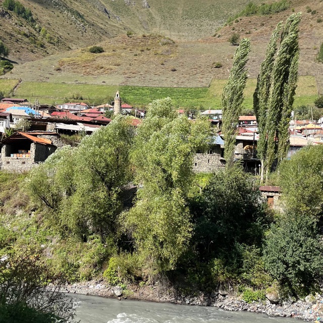 АСП "село Мишлеш"