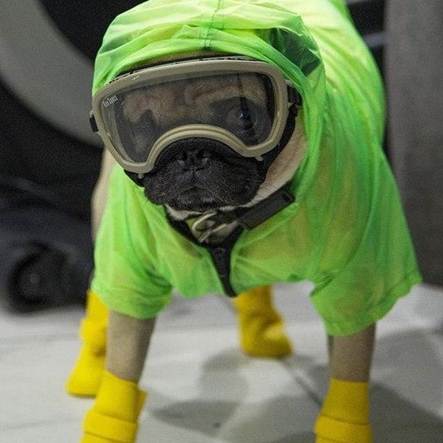 Из пифоса без пафоса. Диоген-Ъ.