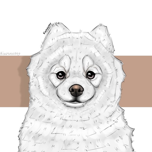 ɯᴨиц бᴀᴩнюхᴀ и ксюха??