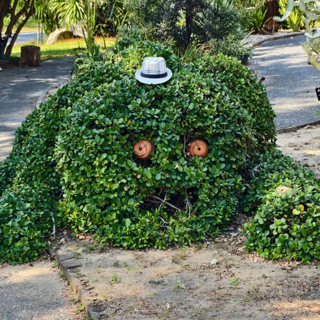 Цветочные побасёнки
